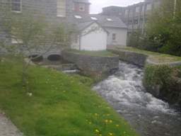 millstreet 14140.jpg